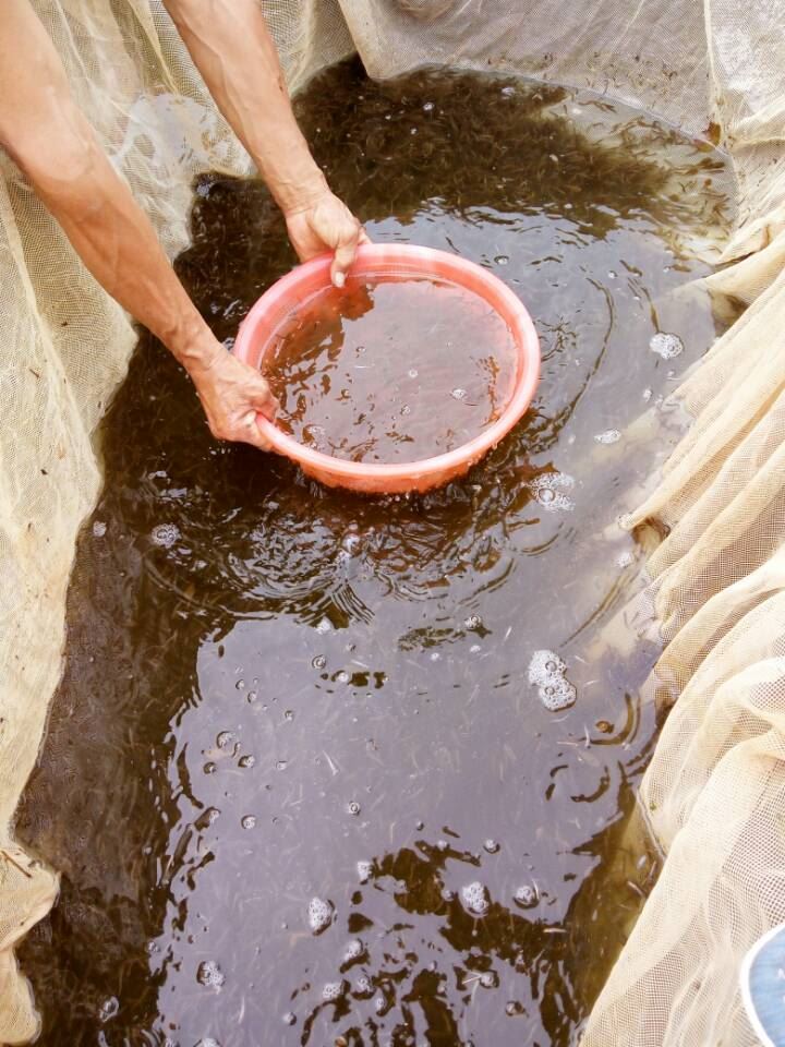 在新窗口中浏览此图片